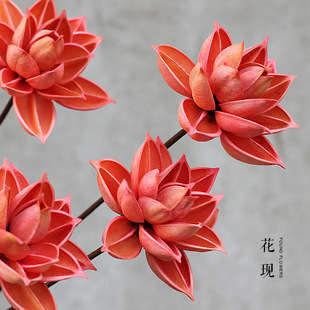 Handmade wood lotus wholesale floor plant hibiscus lotus living room home decoration art shooting props combination lotus
