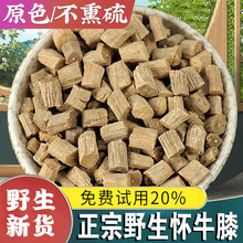 正品野生牛膝怀牛膝新货中药材500g焦作怀牛膝淮牛七怀牛夕红膝