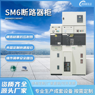 Customized factory processing SM6 inflatable high voltage ring network cabinet high/low voltage switch cabinet circuit breaker switchgear cabinet