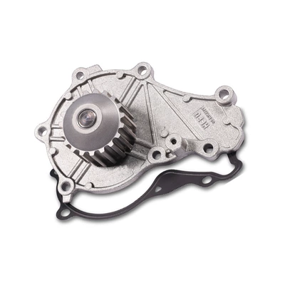 Teeth, Water pump