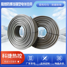 防火防爆電伴熱用測溫器-PT-電熱帶用配件熱電阻