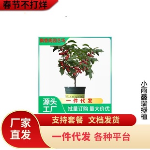 ���_˹8̖���ҹ�������˙��Ҙ��箔��Y�� ��ɫ����܇���Ӵ����