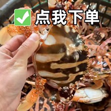 ���������r��t��зҰ�����rˮ�a��з���r���w���з2-3ֻ1��