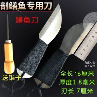 Eel knife Killing Monopterus albus knife Cutting eel knife Killing eel blade Steel eel knife Row Monopterus albus tool Killing fish knife