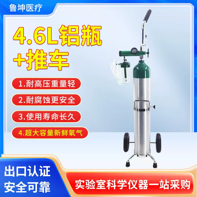 供氧便携式氧气瓶车载式4.6升带全套高原缺氧孕妇老人吸氧制氧机