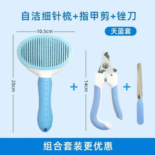 타원형 바늘 빗 블루 세트