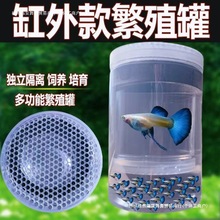��ȸ�~��ֳ�ު���ʽ�~��ˮ������ֳⷱ�޸��xͰ�������~�����Ͱ