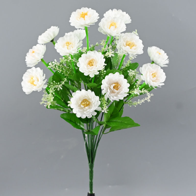 순수한 흰색