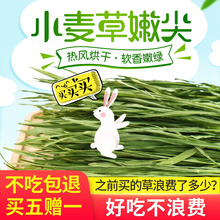 2024宠物兔子草料小麦草干草嫩苗荷兰猪烘干牧草促进肠胃消化200g