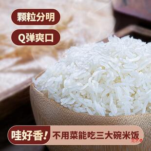 ؈�����L�����׹ٷ���Ş��2023�����״��׷�̩���׽z����ճ10��