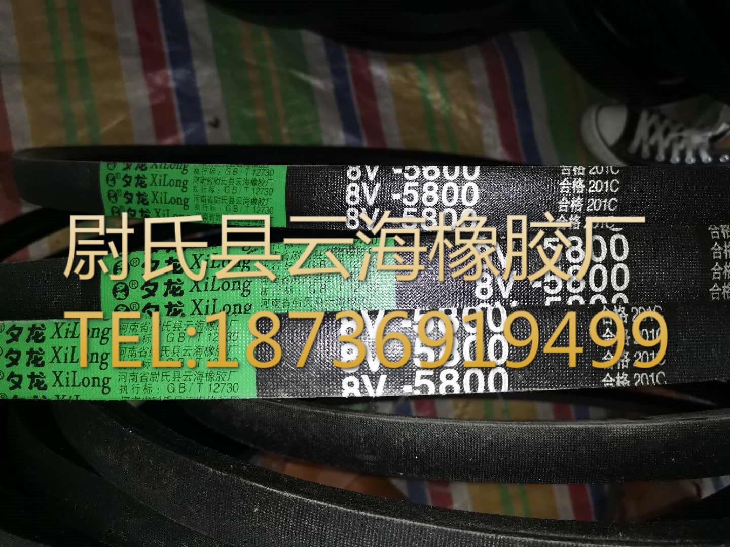 8V-5800  窄V带  8V三角带  机械设备用三角带  破碎机用8V三角带