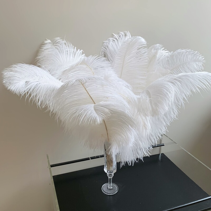 Factory direct 10-65cm high quality ostrich feather natural white feather handmade DIY home flower arrangement decorations Factory direct 10-65cm high quality ostrich feather natural white feather handmade DIY home flower arrangement decorations