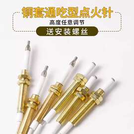 燃气灶点火针煤气灶具维修配件大全通用打火器万能感应铜针嵌入式