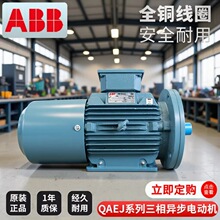 ԭ�bABB늙C���ஐ���T�F�Ƅ�늄әCIE2 QAEJϵ��0.75KW ȫ�~��Ȧ