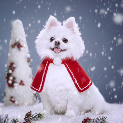 Pet Cat Chinese Style Neck Scarf Cape for Cats and Dogs, Teddy and Bichon Small Dog Clothes Neck Scarf Cape