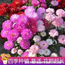 շN ¾ ɫ ̨NֲѻNӴﲥ׻N