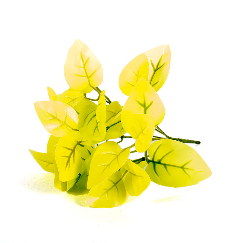 7-Cabeza de corazón de pollo