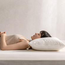A类枕头枕芯一对家用单人一只装枕护颈椎助睡眠枕头芯48*74cm