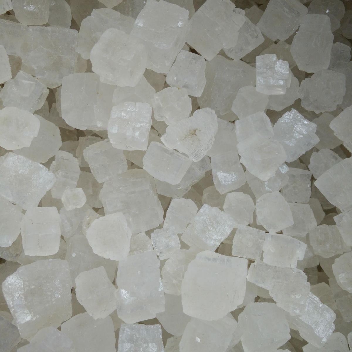 山东盐厂家批发供应高质量原盐 海盐 大粒海盐 炒沙用盐价格优惠