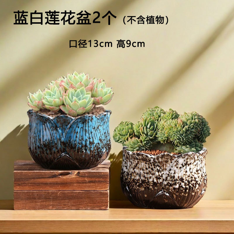Grupo de loto, suculentas, macetas de cerámica especiales, grandes y pequeñas, cárnicas, macetas de arcilla para el hogar, ventas directas de fábrica al por mayor