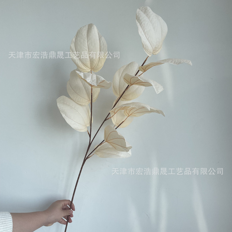 微信图片_202205021521402_副本