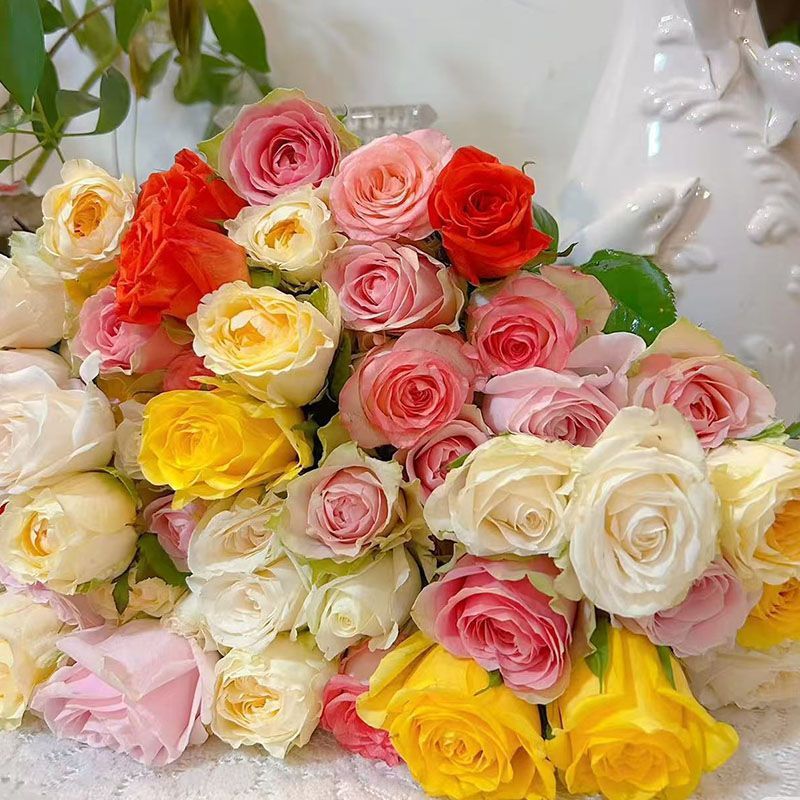 30枝玫瑰鲜切花束多头单头随机发货插花云南昆明基地直发毕业花束