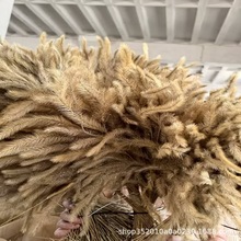 狗尾巴草干花婚礼软装材料场景布置天然植物干花束拍照DIY材料