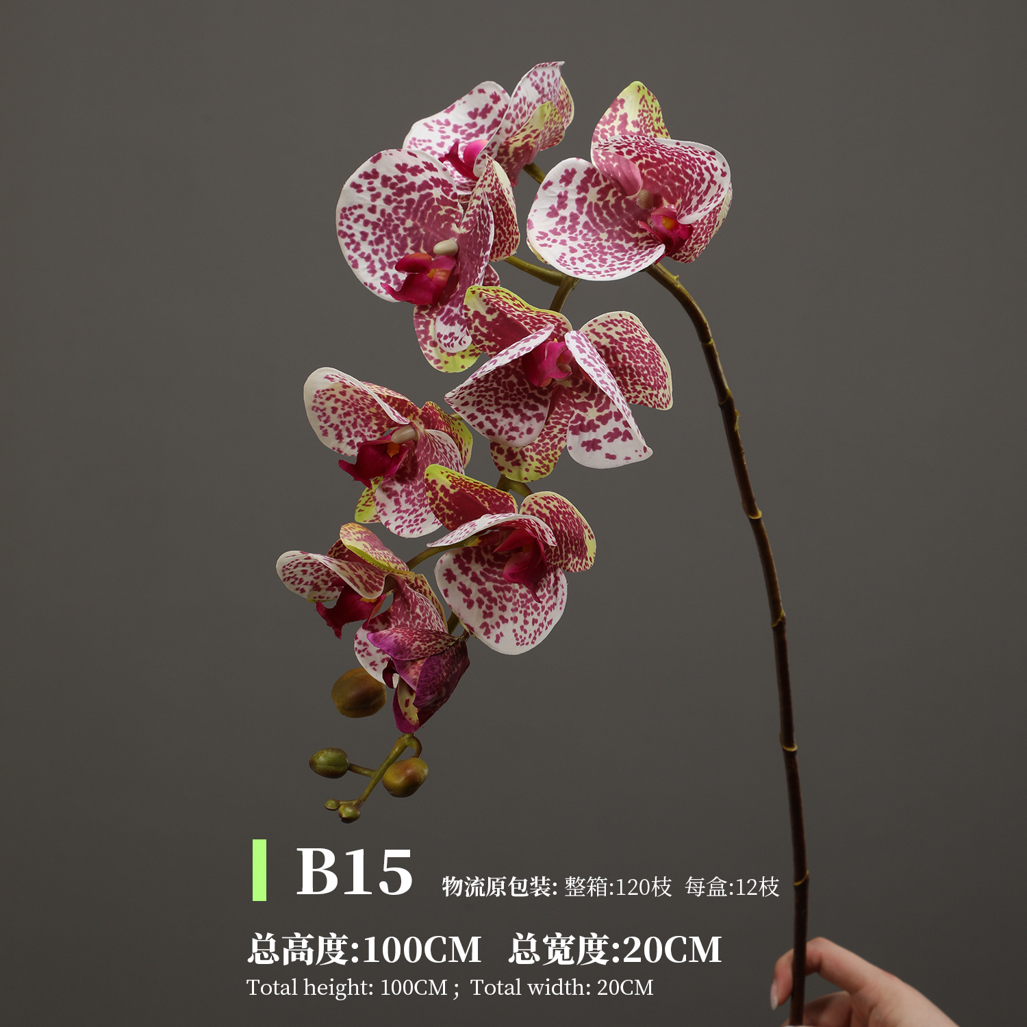 B15