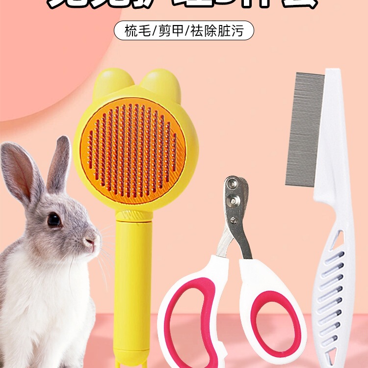 Special Comb for Pet Rabbits, Guinea Pigs, Chinchillas, and Rabbits with Needle Comb and Fine Comb