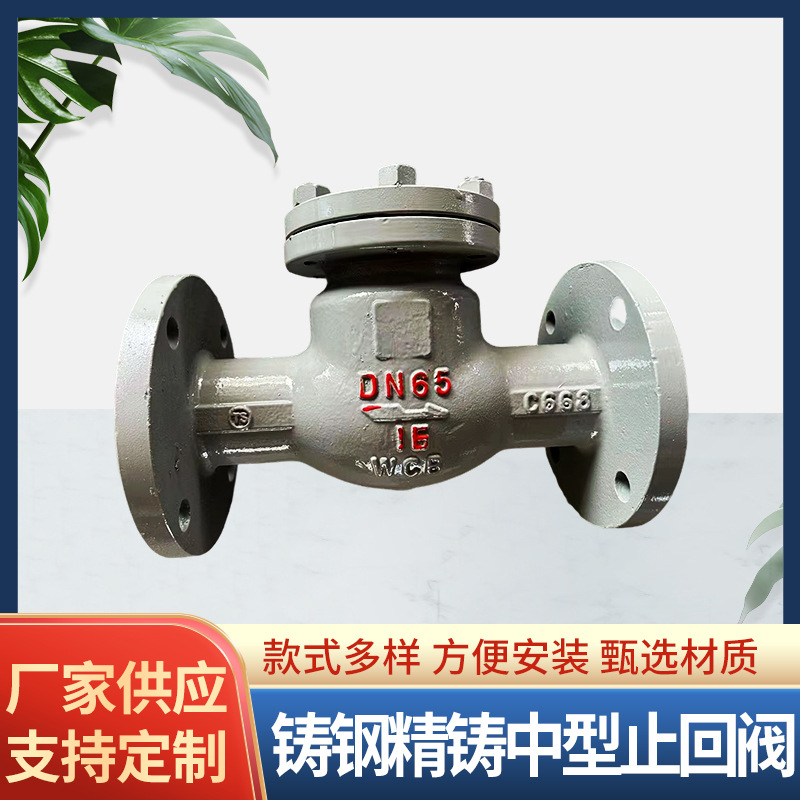 H44H-25C铸钢精铸中型止回阀加厚阀体 螺丝固定更加安全支持定 制