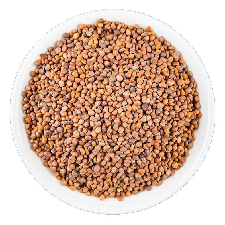 Dried Radish Seed Lai Fu Zi 500g Unsulfured Raphanus sativus Seeds for Herbal Tea and Decoction in use