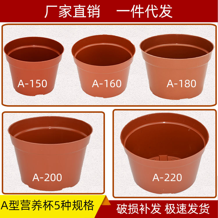 A������Ӫ����Բ�β��ܻ���ƽ��������ֲ��ֲ��ɫ[���۴���ֱ��]