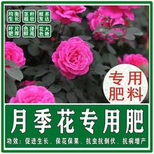 月季花专用肥料有机肥复合肥底肥追肥冲施花多多绿叶素粗壮促生长