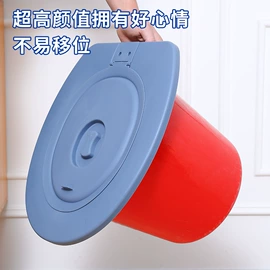 家用盆;猫厕所;普通马桶盖