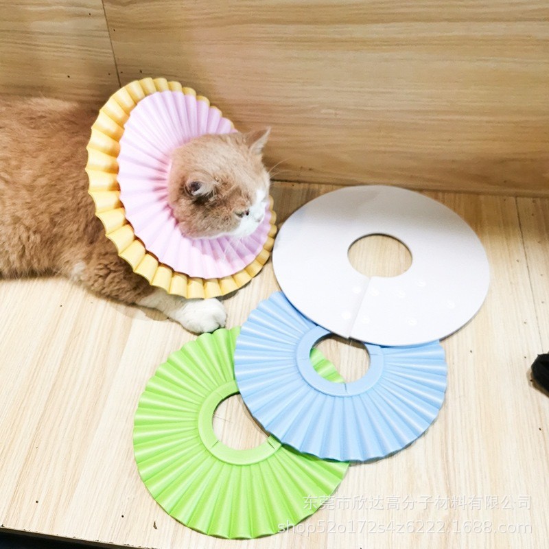 O1CN01Ykxhce1EIGqFHh0j5_!!2217