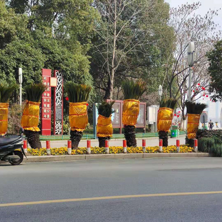 O1CN01praLlZ2KXjp8qP5Fu_!!9342