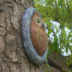 Cross-border hot-selling new outdoor micro landscape owl pendant resin craft decorative garden creative sculpture