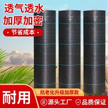 �����@ˇ�ز����@��������Ƭ����͸��͸ˮ�w�ֲ�����