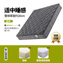 S]2024¿ᘿɴ|ϵ-M22bɣ 0.9*1.9