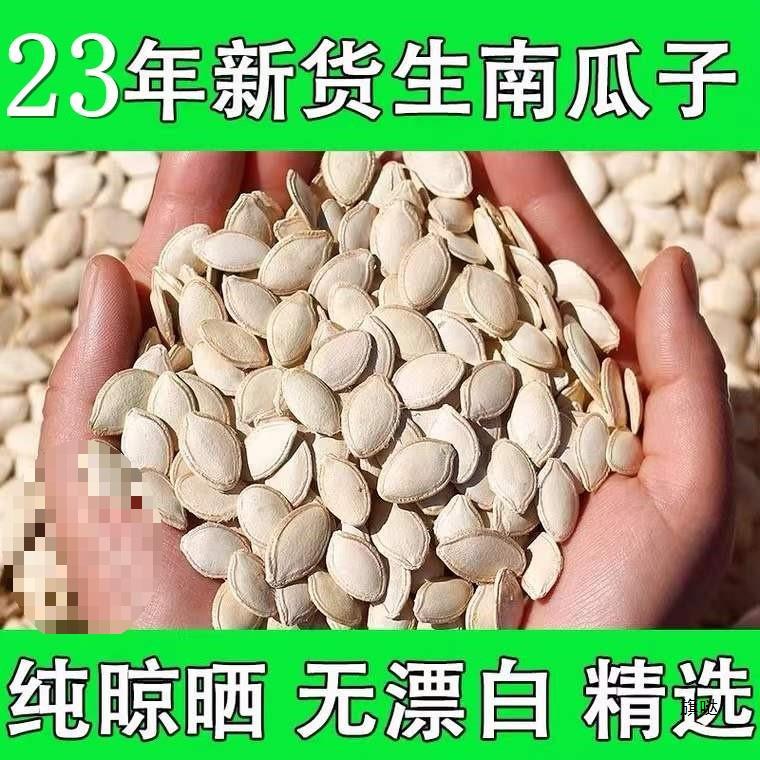 【无干燥剂】新货内蒙生南瓜子中片大片白瓜子生熟可选