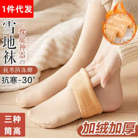 袜子女雪地袜秋冬季加绒加厚保暖休闲中筒地板毛圈长筒过膝袜批发