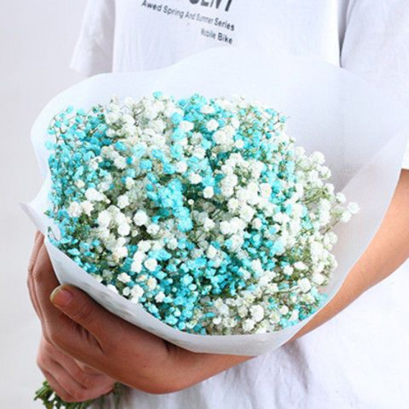 Yunnan lleno de flores secas, no olvides mi decoración de la casa, flores frescas, flores verdaderas, flores secas y verdaderas