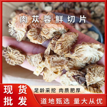 ��ɐ��Ƭ���ɹŰ�������ɐ����Ƭ�ݾ��ݲ�������������ș��ܛ�|