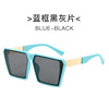 Fashionable trend sunglasses, glasses, 2023 collection