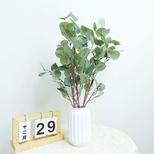 ������X���ȼ����~��֧��c�����ҾӾƵ��b��廨��֦�S��ֱ�N