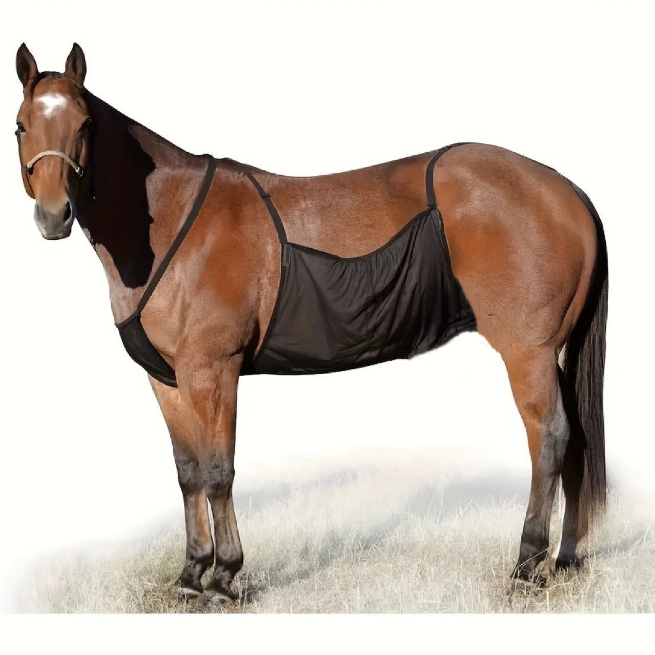Новые принадлежности для верховой езды, защитный чехол для живота лошади, клетчатая дышащая защитная сетка от царапин, защита от укусов лошади от комаров