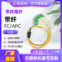 12芯带状尾纤单模FC/SC/LC 2.0MM 主干光缆熔接用 12芯一体化托盘