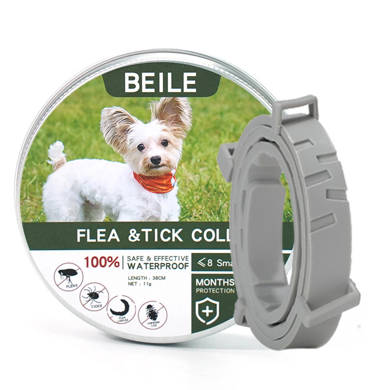 새로운 녹색 상자 짧은 회색 칼라