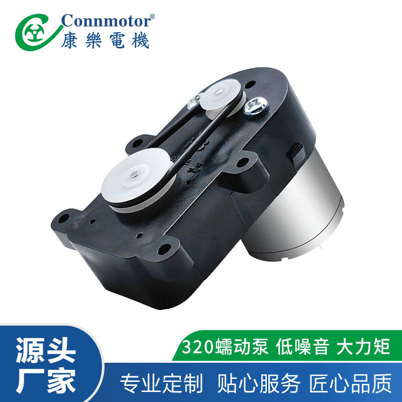 齿轮泵微型齿轮泵仪表保险箱自动售货机金属齿轮梨形微型减速电机