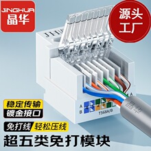 晶华超5类免打模块CAT5E网络模块非屏蔽信息电脑网线rj45镀金接口